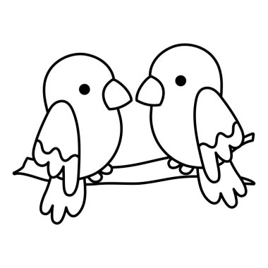 satır güzellik papağan çift kuş hayvan vektör çizim