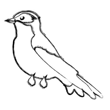 Grunge egzotik güzellik kuş kanatlı hayvan illüstrasyon vektör