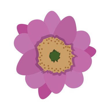 şirin Doğa yaprakları ile şirin çiçekler illüstrasyon vektör