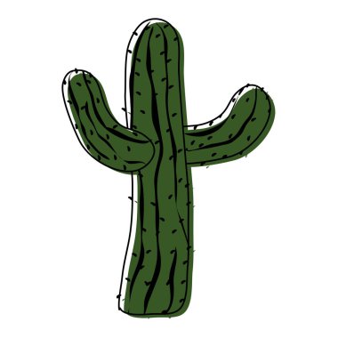 renk tropikal kaktüs bitki doğa çöl vektör çizim taşındı