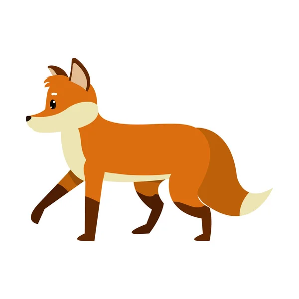 Nature Mignon Renard Animal Sauvage Vecteur Illustration — Image vectorielle