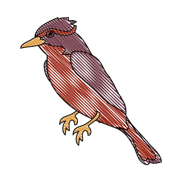 Doodle Niedlich Nördlichen Kardinalvogel Tier Vektor Illustration — Stockvektor