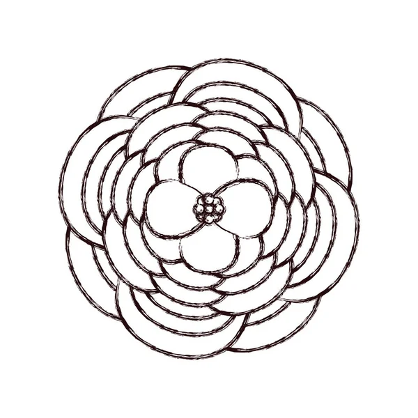 Grunge Beautiful Rose Nature Petals Design Vector Illustration — Stock Vector