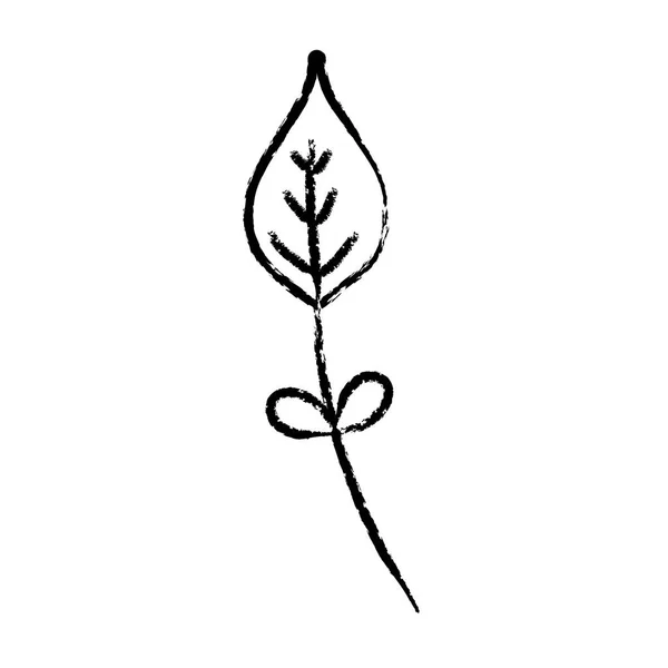 Grunge Εξωτικά Φύλλα Τροπικό Και Φυσικό Φυτό Διανυσματικά Εικονογράφηση — Διανυσματικό Αρχείο