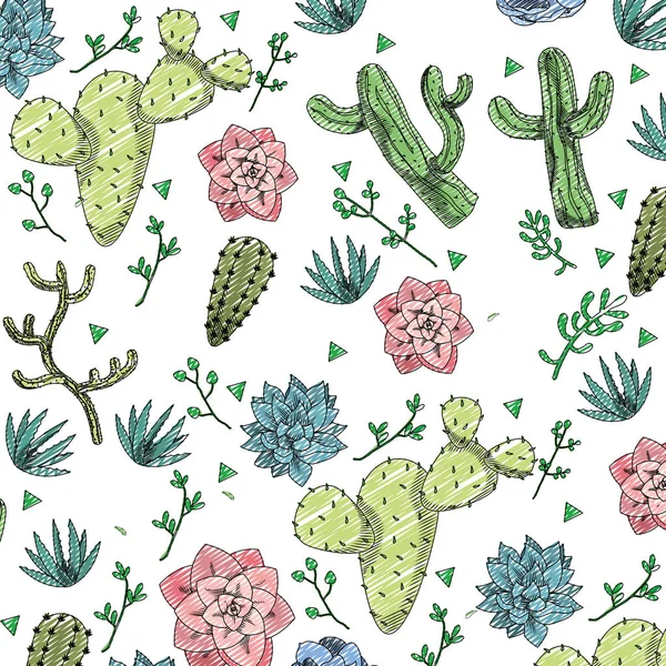 Doodle Flores Dos Cactos Avaceas Com Ilustração Vetor Sedum Pachyphyllum — Vetor de Stock