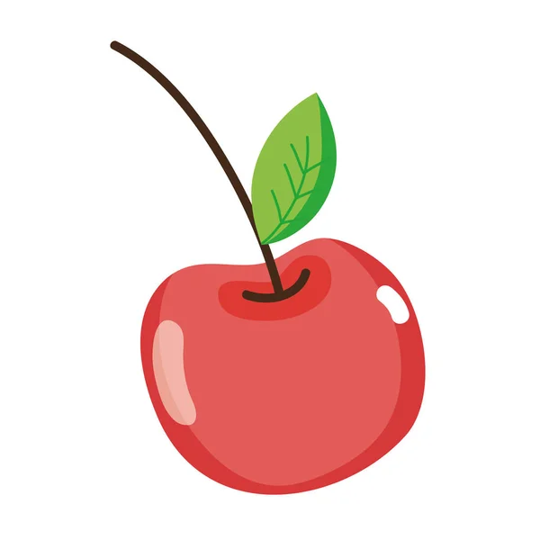 美味新鲜的樱桃水果营养向量例证 — 图库矢量图片
