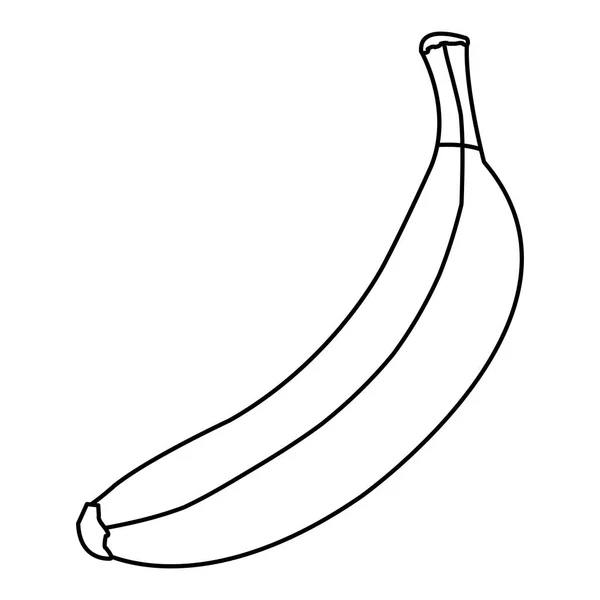 Линия Вкусных Банановых Органических Фруктов Векторная Иллюстрация — стоковый вектор