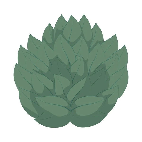 Agradable Planta Natural Con Hojas Diseño Vector Ilustración — Vector de stock