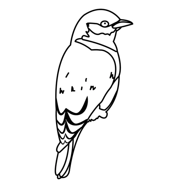 Línea Belleza Pájaro Animal Con Alas Plumas Vector Ilustración — Vector de stock