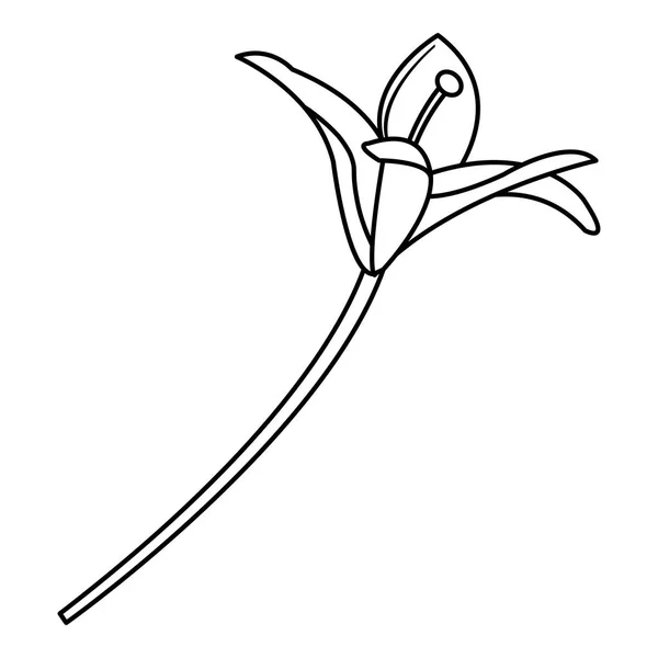 Line Přírodní Květina Rostlina Krásy Lístků Vektorové Ilustrace — Stockový vektor