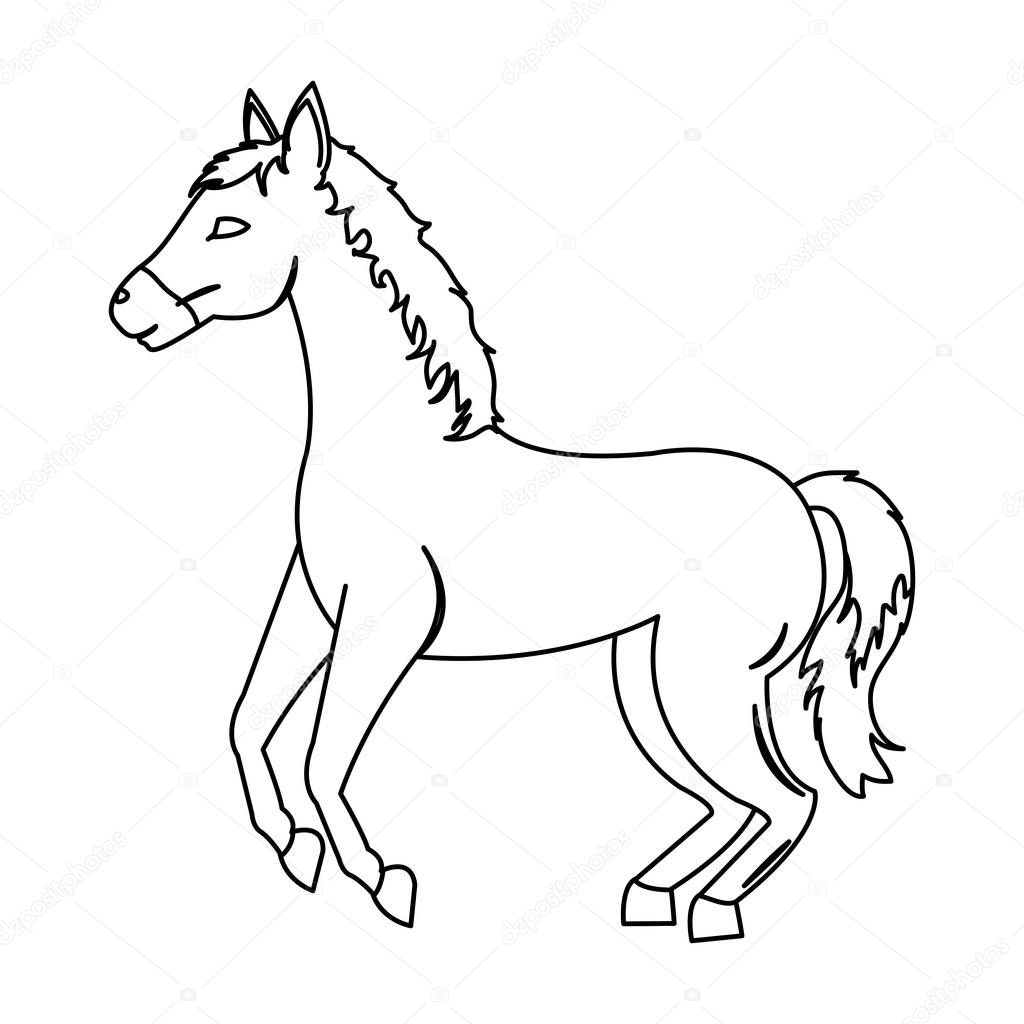 line horse animal to travel transport in the desert vector illustration