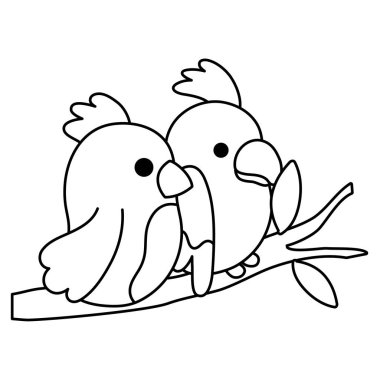 satır güzellik papağan çift hayvanlarda şube vektör çizim