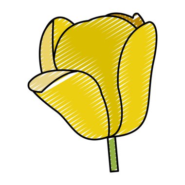 Doodle doğal çiçek bitki güzel yaprakları vektör çizim ile