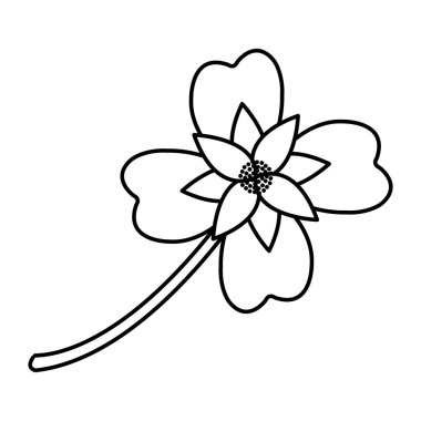 satır şirin doğal çiçek bitki yaprakları vektör çizim ile