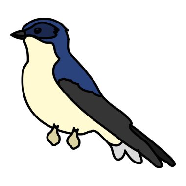 egzotik güzellik kuş hayvan kanatlı vektör çizim renk