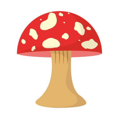 doğa mantar bitki sebze organizma vektör çizim