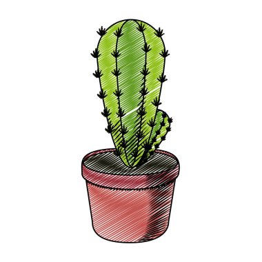 Doodle çöl doğa kaktüs bitki saksı vektör çizim içinde