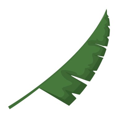 egzotik botanik yaprak doğal stil vektör çizim