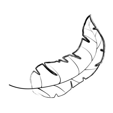 Grunge Botanik ve egzotik yaprak doğal stil vektör çizim