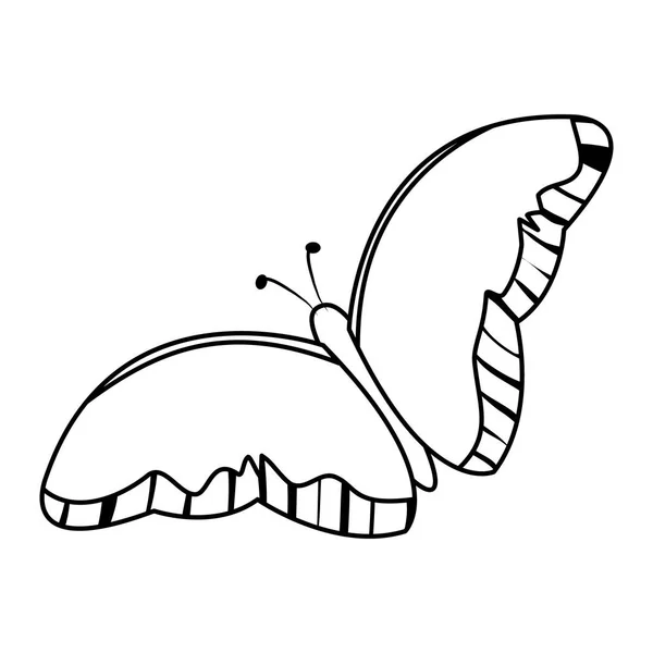 Linie Schönheit Schmetterling Insekt Tier Fliegender Vektor Illustration — Stockvektor