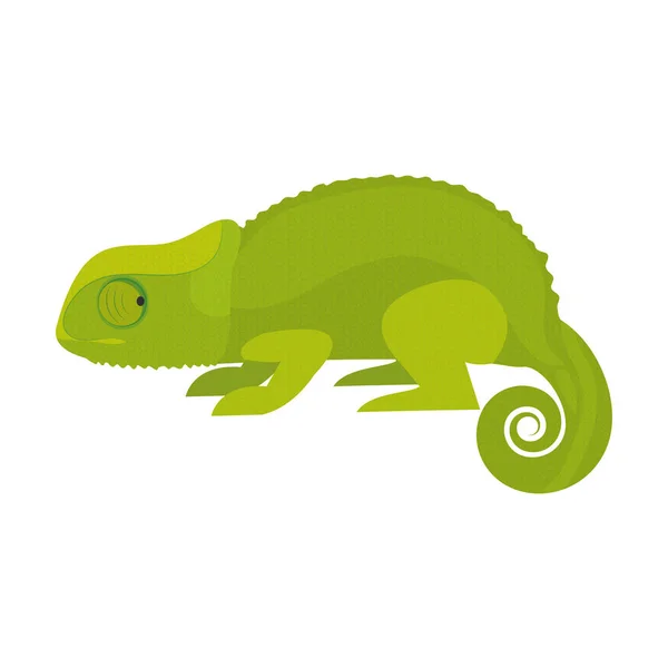 Natura Zwierzęta Kameleon Egzotycznej Skóry Wektor Ilustracja — Wektor stockowy