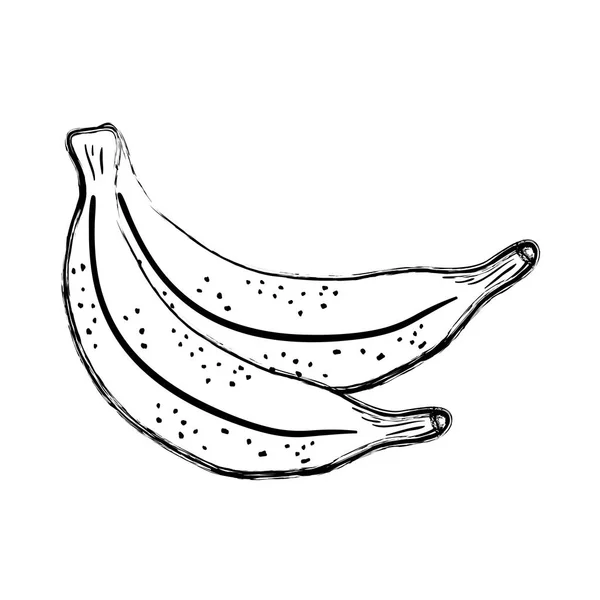 Grunge Leckere Bananen Obst Bio Vitamin Vektor Illustration — Stockvektor