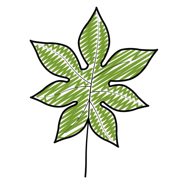 Doodle Exotiska Gren Med Naturliga Blad Design Vektorillustration — Stock vektor