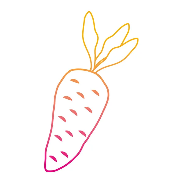 Деградована Лінія Здорової Моркви Овочевий Смак Їжі Векторні Ілюстрації — стоковий вектор