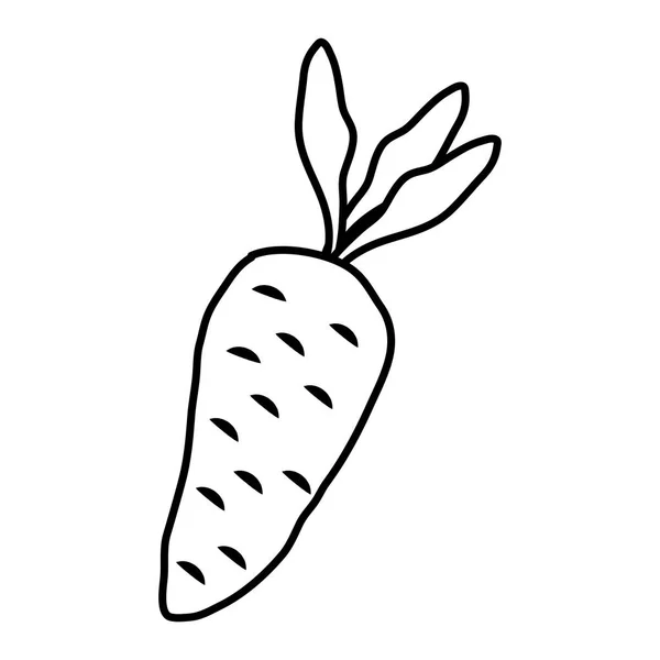 Линия Здоровой Морковной Растительной Пищи Векторная Иллюстрация Вкуса — стоковый вектор