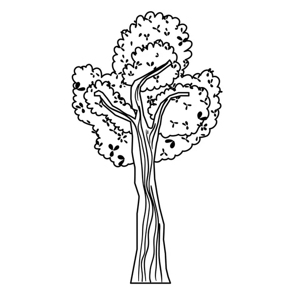 Лінія Екзотичного Дерева Стебло Листям Стиль Векторні Ілюстрації — стоковий вектор
