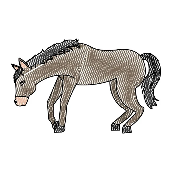 Doodle House Animal Aventure Transport Vectoriel Illustration — Image vectorielle
