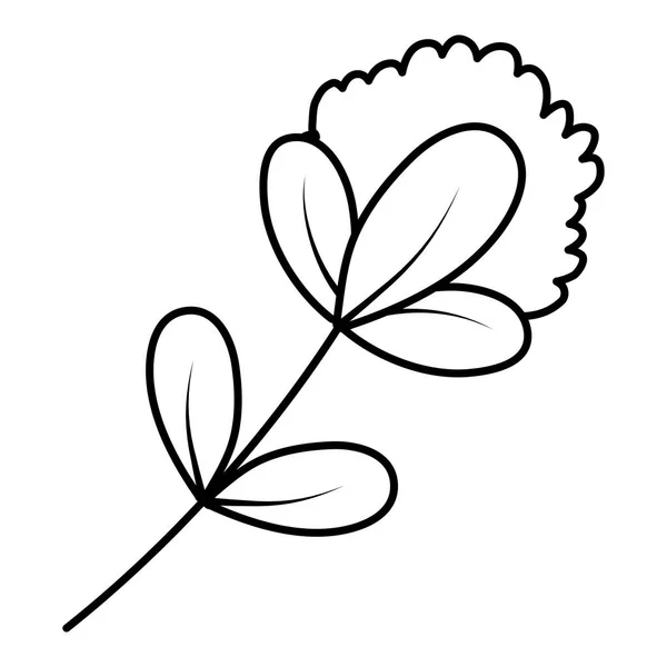 Linie Natur Blume Pflanze Exotischen Stil Vektor Illustration — Stockvektor