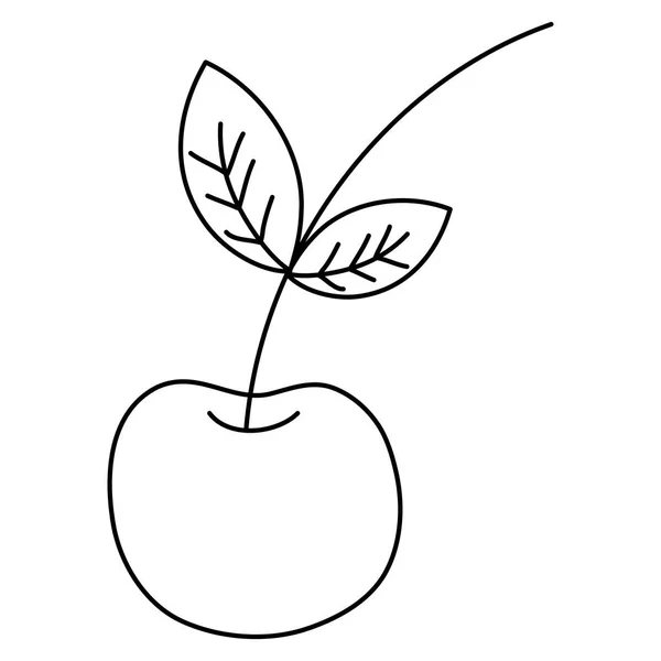 Ilustracja Wektorowa Linii Świeże Pyszne Owoce Wiśni Odżywianie — Wektor stockowy