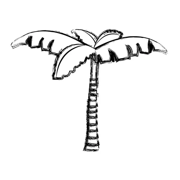 Гранж Пальмы Природы Векторной Иллюстрацией Дизайна Листьев — стоковый вектор
