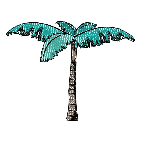 Doodle Trópusi Pálma Természetes Design Vektor Illusztráció — Stock Vector