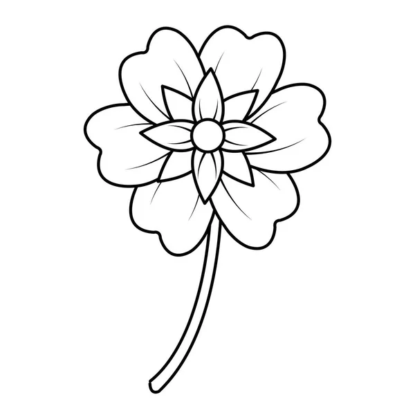 Линия Красивый Цветок Лепестками Природы Векторной Иллюстрацией Стебля — стоковый вектор