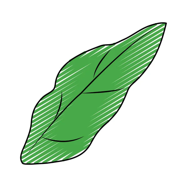 Doodle Mignon Nature Tropical Feuille Conception Vectoriel Illustration — Image vectorielle