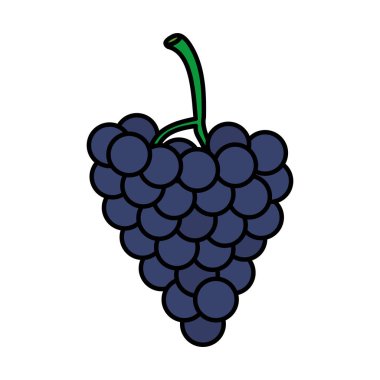 renk lezzetli brunch üzüm organik meyve vektör çizim