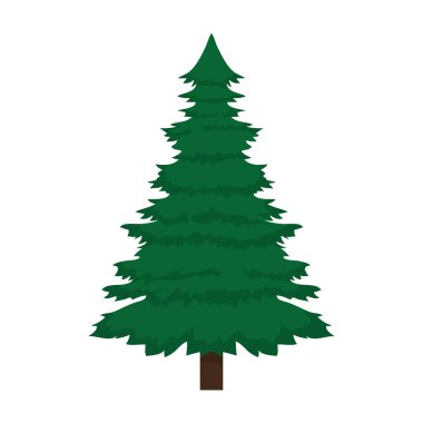 çam ağacı ile takip ve dalları vektör çizim bırakır