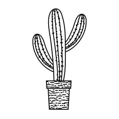 satır egzotik kaktüs çöl bitki saksı vektör çizim içinde