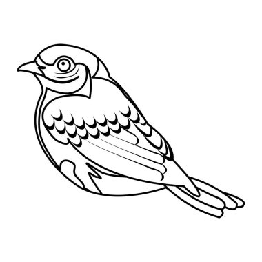 satır güzellik kuş hayvan tüyleri ve kanatlar vektör çizim ile
