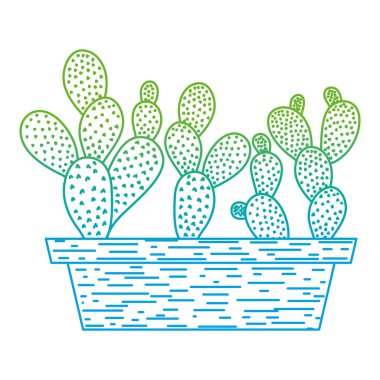 bozulmuş satır çöl ve doğa kaktüs bitki saksı vektör çizim içinde