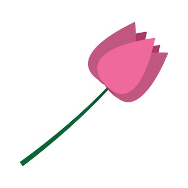 Doğal çiçek bitki şirin yaprakları vektör çizim ile