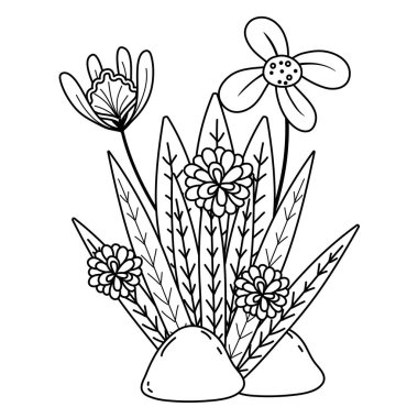 taşlar vektör çizim egzotik çiçeklerle satır bitki yaprakları