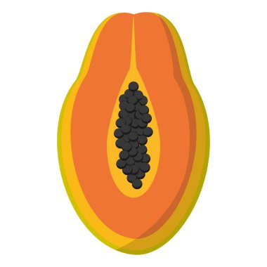 lezzetli dilim papaya organik meyve vektör çizim