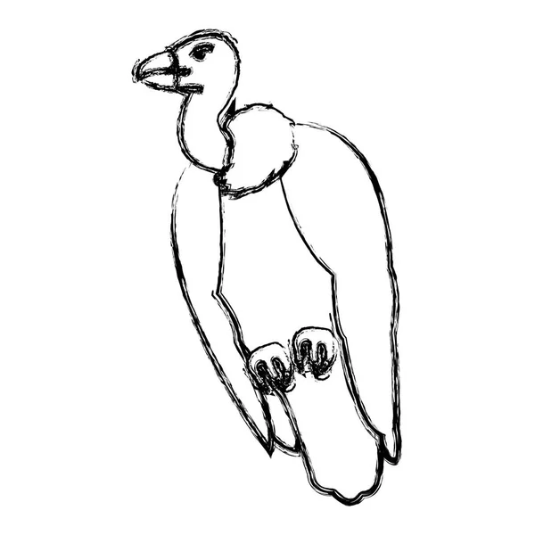 Grunge Vulture Wild Bird Animal Design Vector Illustration — Stock Vector