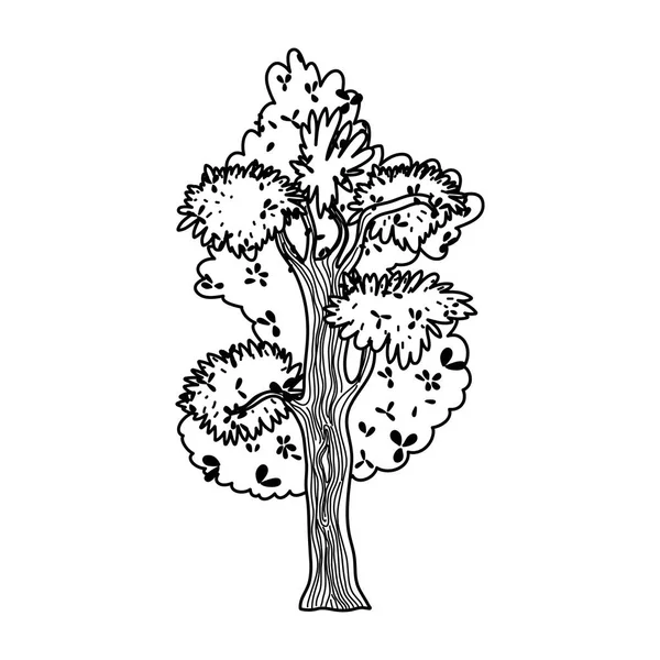 Linha Árvore Talo Com Ramos Exóticos Folhas Vetor Ilustração — Vetor de Stock