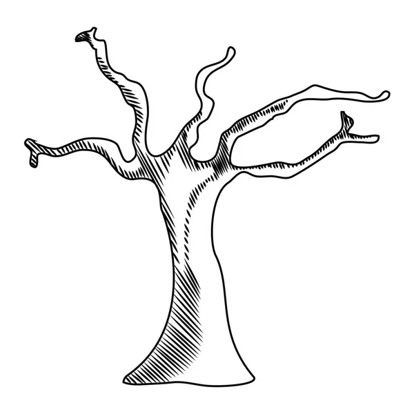 Linie Natur Wüste Trockener Baum Mit Ästen Vektor Illustration — Stockvektor