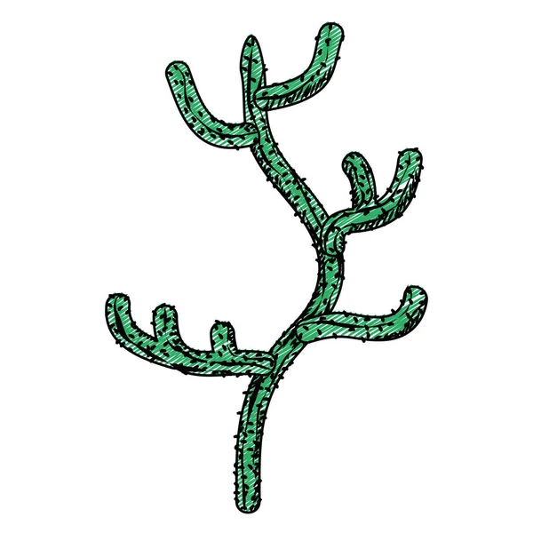 Doodle Écologie Nature Désert Cactus Plante Vecteur Illustration — Image vectorielle