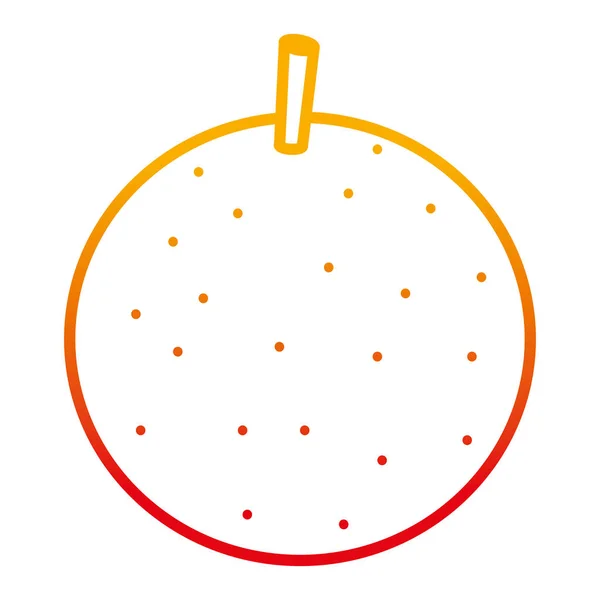 劣化線おいしい 新鮮なオレンジ色の有機果物のベクトル図 — ストックベクタ